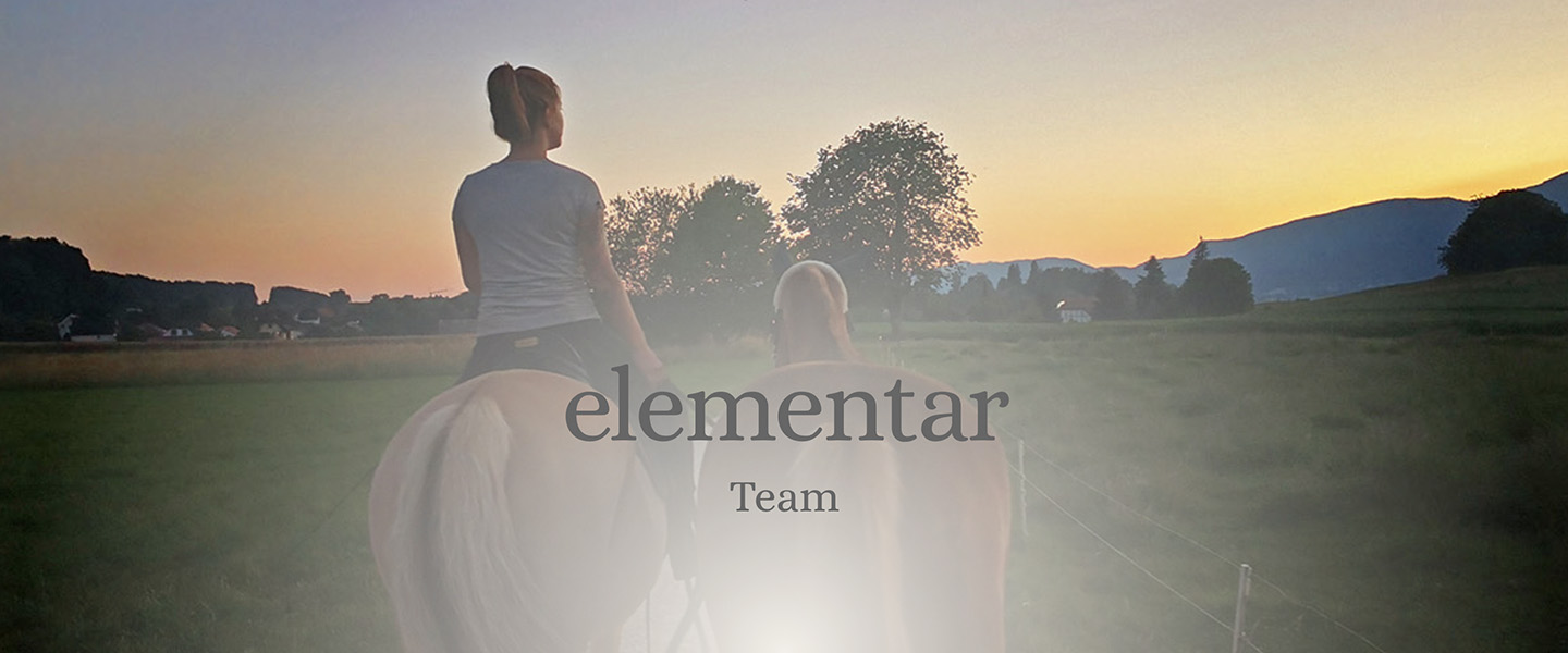 Mobile Team