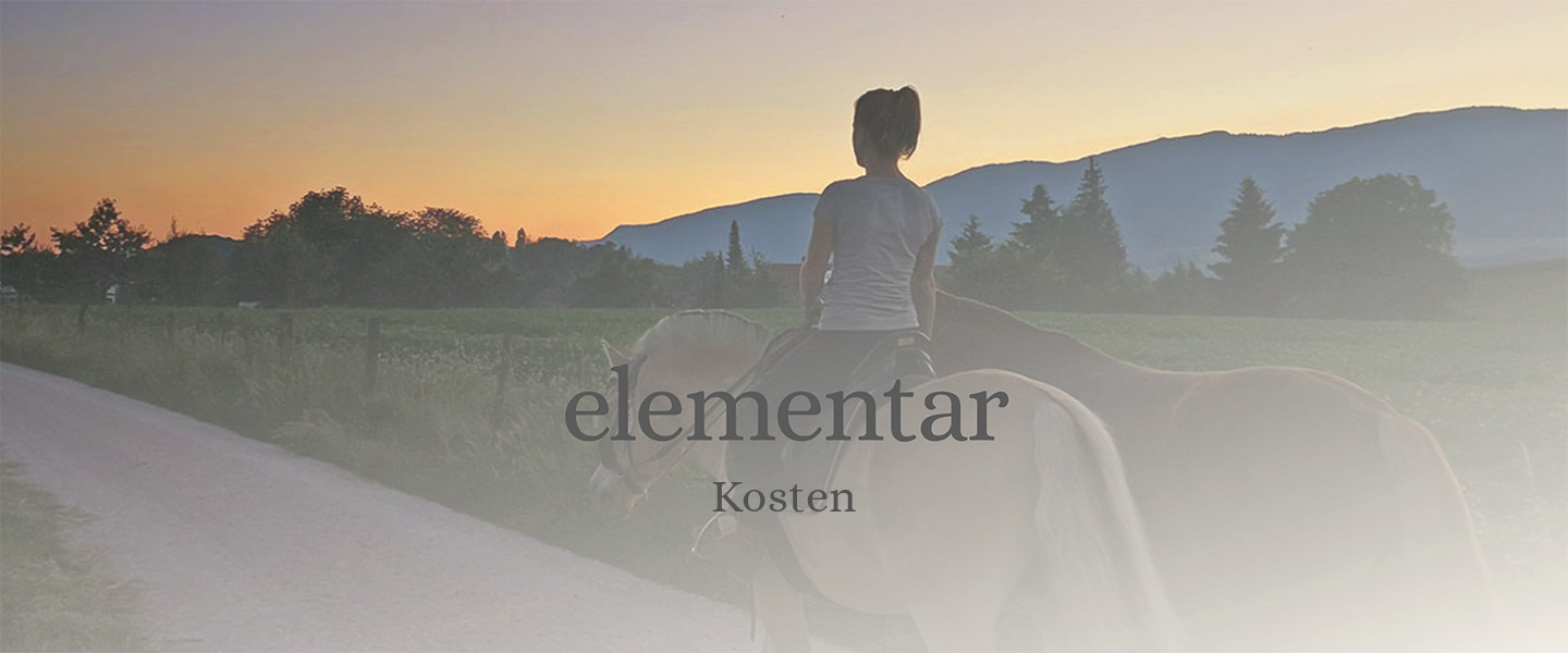Mobile Kosten