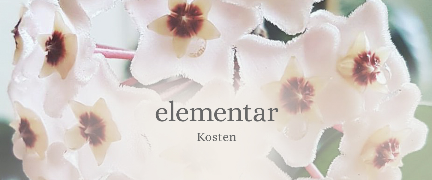 elementar-Kosten