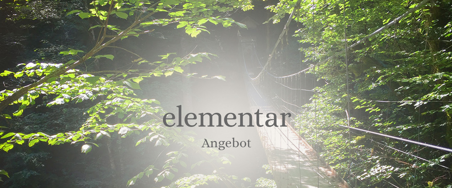 elementar-Angebot