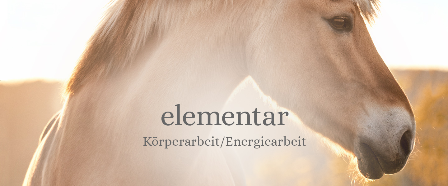 Koerperarbeit-Energiearbeit